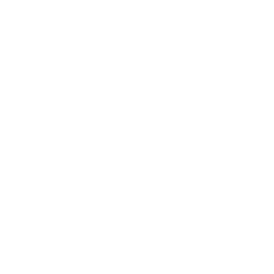Ruminants